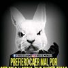 diegogomez4396