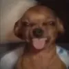 cosozzzzz