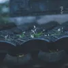 calmsoule5