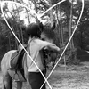 horseridingbbx
