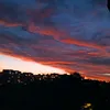 veram9