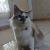 4rief_73
