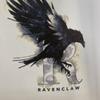 ray_ravenclaw