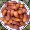 jafarsani7
