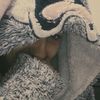 radwa.karem84