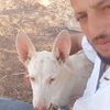 bibonekrouf