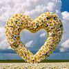 flakitam115