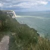 petitetami