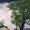 iflylyfy
