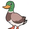 tik_tok_duck_22