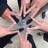 vita_dhea78