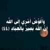 wad.alsharif.249