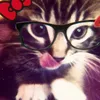 whor3is.u