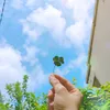 tsu_tpst