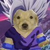 seph_player