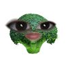 zy.xinvy