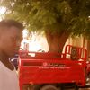 user5054781947594