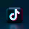 Tiktok Fan