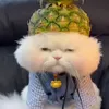 chang_chang3_3