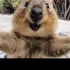 cant_sleep_in_a_zoo