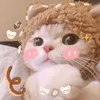 meo.cute33