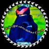 .ms19958