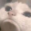 user3261781939