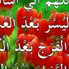 user1913792580561