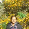 santugurung643