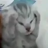 useru5g4fmiofo