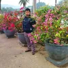 sng.po08