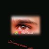 kaleemmushtaq8