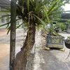 kaca1991.com
