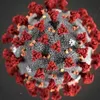 wuhanpneumonia7