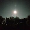 lykos_1474