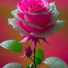 user056036724