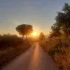 giuseppinaferrara76