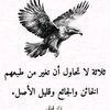 user99141999360261