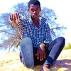 waburee_sk01