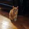 beanz_347