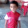 murtazaahmed2662