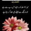 hafeez.jutt.705