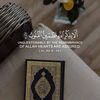 abdoumrv2312