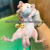 yudielalmeida92