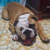 juan_pablo1.3