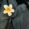 userjeonsuaxx