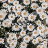 notatkova.._