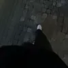 _qpoo.0o