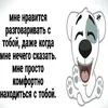 amkacomdb