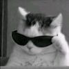 coolgirl1th